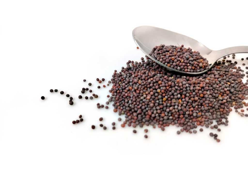 Mustard Seeds